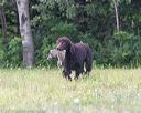 20180723-wcl-0041