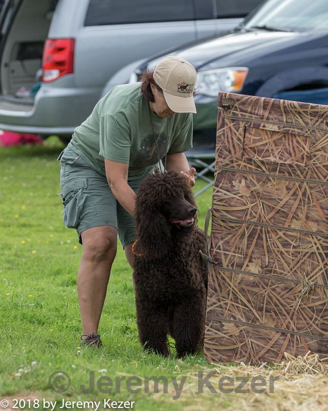 20180723-wcl-0093.jpg