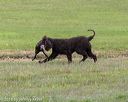 20180723-wcxl-0008