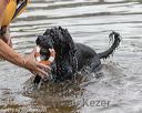 20180818-awd-0035