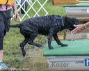 20180818-awd-0078