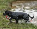 20180818-awd-0113