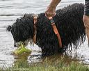 20180818-awd-0137