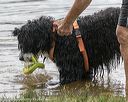 20180818-awd-0138