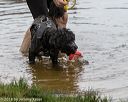 20180818-awd-0178