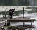 20180818-awd-0181