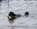 20180818-awd-0185