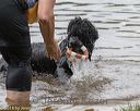 20180818-awd-0200