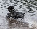 20180818-awd-0204