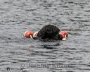 20180818-awd-0267