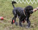 20180818-awd-0293