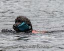 20180818-cwd-0011