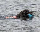 20180818-cwd-0015