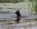 20180818-cwd-0027