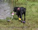 20180818-cwd-0036