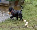 20180818-cwd-0116