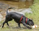 20180818-cwd-0129