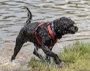 20180818-cwd-0168