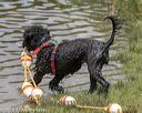 20180818-cwd-0170