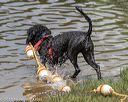 20180818-cwd-0171
