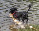 20180818-cwd-0172