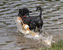 20180818-cwd-0175