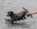 20180818-cwd-0213