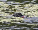 20180818-cwd-0218