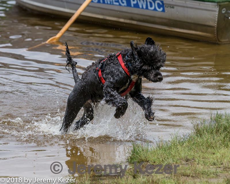 20180818-cwd-0111.jpg