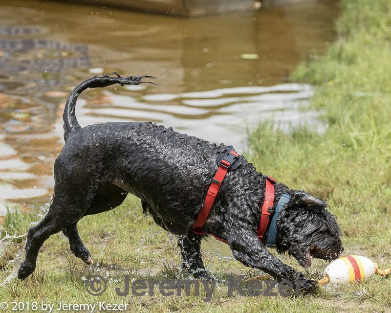 20180818-cwd-0129.jpg