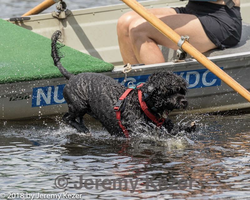 20180818-cwd-0156.jpg