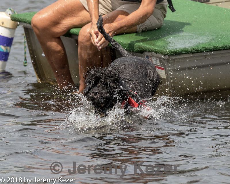 20180818-cwd-0197.jpg