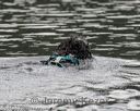 20180818-jwd-0051