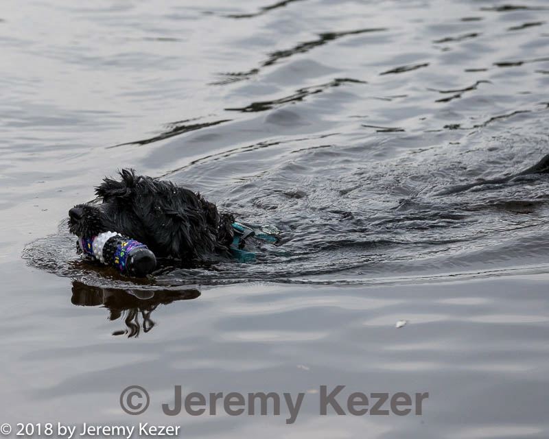 20180818-jwd-0018.jpg