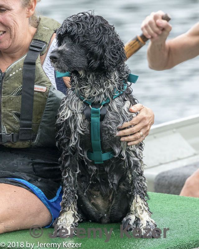 20180818-jwd-0062.jpg