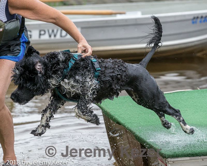20180818-jwd-0063.jpg