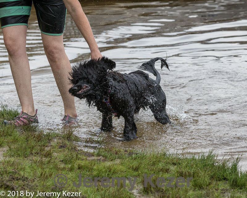 20180818-jwd-0076.jpg