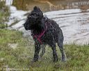 20180818-wwd-0004