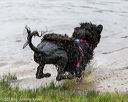 20180818-wwd-0006