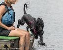 20180818-wwd-0042