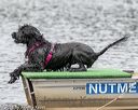 20180818-wwd-0068