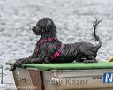 20180818-wwd-0074