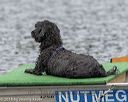 20180818-wwd-0144