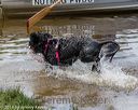 20180818-wwd-0177