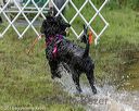 20180818-wwd-0181