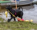 20180818-wwd-0190