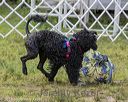 20180818-wwd-0199