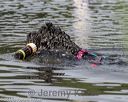 20180818-wwd-0209