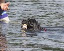 20180818-wwd-0221
