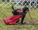 20180818-wwd-0280